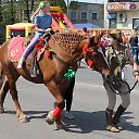 ���� Niece, ��������� - ��������� 5 �������� 2016