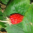 ���� ��� *-���������, ��������, 49 ��� - ��������� 14 ������� 2016