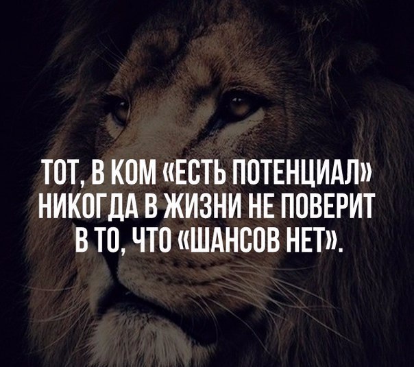  -   - 3  2016  01:35