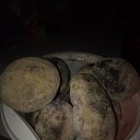 ���� ����������, �������������, 47 ��� - ��������� 5 �������� 2016 � ������ ������ ��������