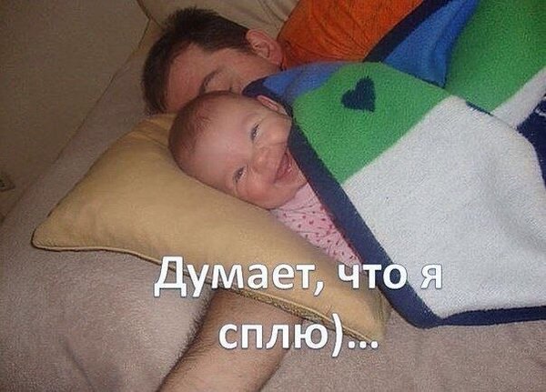  - 2  2016  03:33