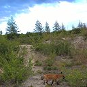 ���� U-jin, ������, 54 ���� - ��������� 11 ������� 2016 � ������ ������� ������ �����