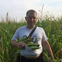 ���� �����, �������, 37 ��� - ��������� 28 ��� 2016 � ������ ���� ����������