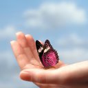 ���� ����, ������ - ��������� 25 ���� 2016 � ������ �����������