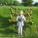 ���� ������, ������, 39 ��� - ��������� 16 ��� 2016 � ������ ������