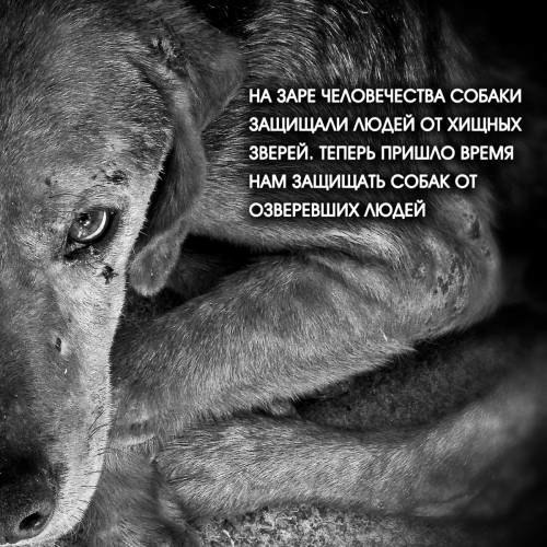  - 3  2016  19:51