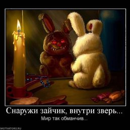 ���� ������, ������, 36 ��� - ��������� 13 ������� 2016