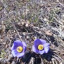 ���� �������, ����������, 50 ��� - ��������� 23 ������ 2016 � ������ ������������� 23.04.2016�