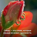 ���� �., ���������� - ��������� 10 ������ 2016 � ������ �..����Ȼ