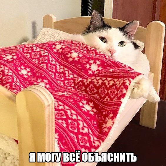  -    ,         