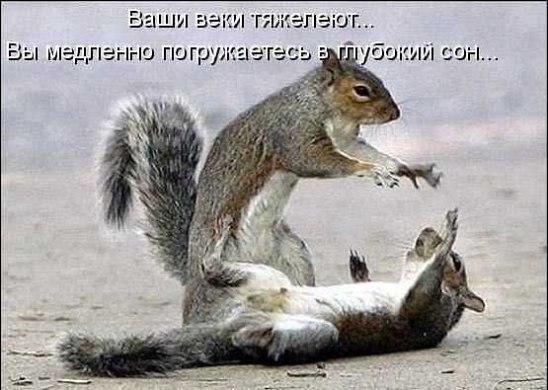 ...   !!!