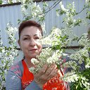 ���� ������, ��������� - ��������� 7 �������� 2016