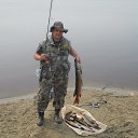 ���� �������, ��������, 44 ���� - ��������� 20 ���� 2016 � ������ ���� ����������