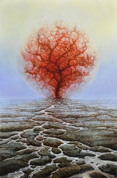      (TOMASZ ALEN KOPERA).      ,  ... - 12