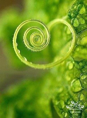 , ,  - 3  2016  16:57 - 4