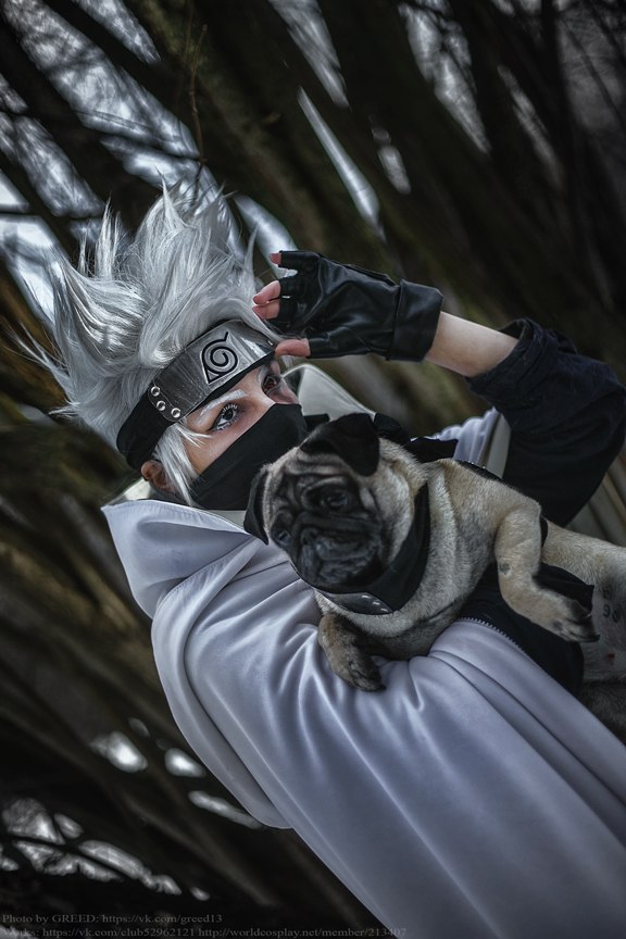 : Naruto Shippuuden.: Hatake Kakashi: Mery: Greed: : ...