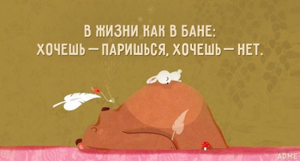   - 31  2016  08:55