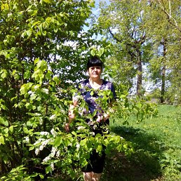 ��������, �������, 52 ����