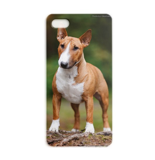 Дорогие друзья! Представляем