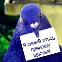 ���� �����, �������� - ��������� 22 ���� 2016 � ������ ���� ����������