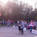 � ����� �� ������� ��������� 27 ������� 2016�