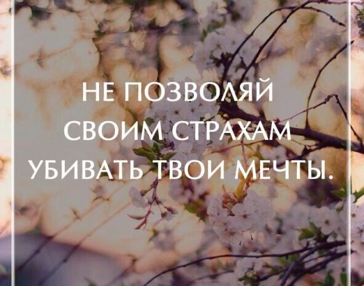  - 28  2016  03:11