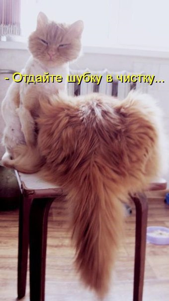       - 2  2016  14:55