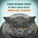 ���� ������, ������, 50 ��� - ��������� 23 ����� 2016 � ������ ���� ����������