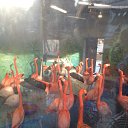 ���� ������, ������� - ��������� 13 ������ 2016 � ������ ���� ����������