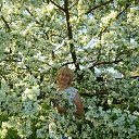 2016 ����� �� ������� ���� ����������