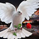 ���� Is, ���� - ��������� 30 ��� 2016 � ������ ������ ��������