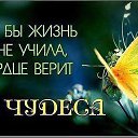 ���� ������, ����� ������, 58 ��� - ��������� 26 ������ 2016 � ������ ������ ��������