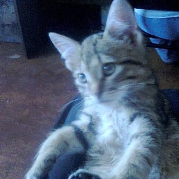 ���� �������, ������������, 47 ��� - ��������� 28 ���� 2016