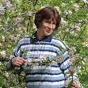 ���� �����, ����� - ��������� 13 ����� 2016 � ������ ���� ����������