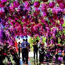  ,  -  15  2016    13 һ