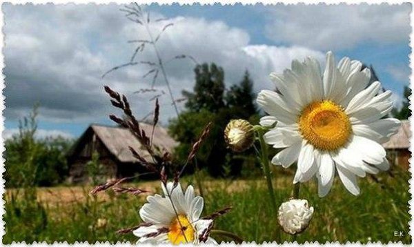Родительский дом — это место из Рая… Где время застыло на стрелках часов… И мама, всем сердцем ...