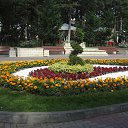  ,  , 39  -  24  2016     2016