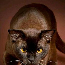 ���� �����, ������, 47 ��� - ��������� 17 ��� 2016