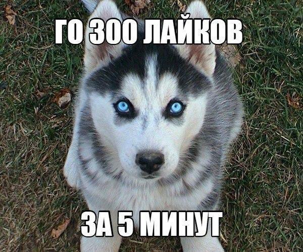  - 26  2016  19:45