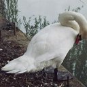 ���� �������, ������� - ��������� 29 ���� 2016 � ������ ��������. ����� ����.�