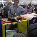  , , 35  -  12  2016   Moscow December 2013