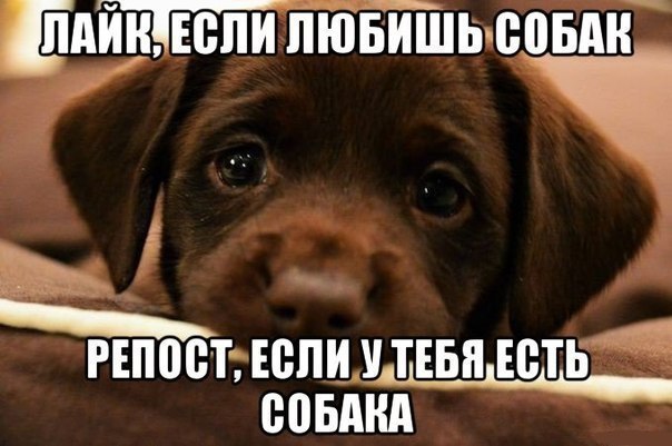    :D - 27  2016  12:32