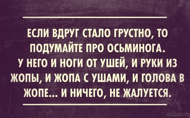   ,   .© - 27  2016  15:34