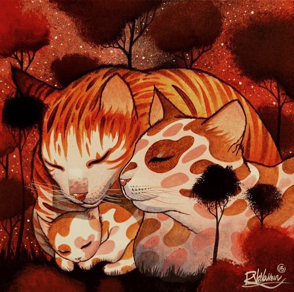 Raphal Vavasseur - 2