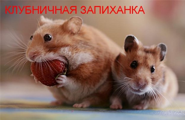 :)