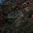 ���� �����..., ����� - ��������� 22 ��� 2016 � ������ ������ �������.�