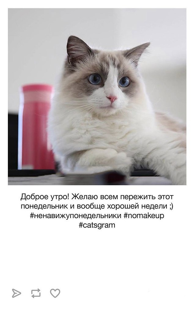     : - 4