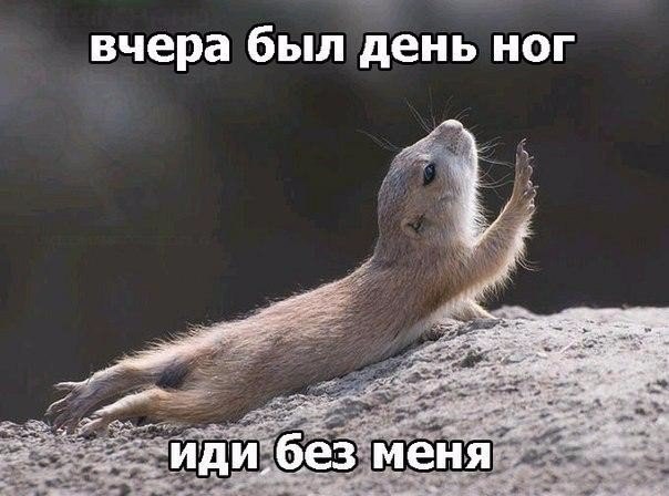 ����� � ����� | ������ ������� - 27 ������ 2016 � 00:32