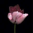 ���� ����, ������ - ��������� 27 ��� 2016 � ������ �������� ������ �����