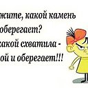  , , 43  -  11  2016   .